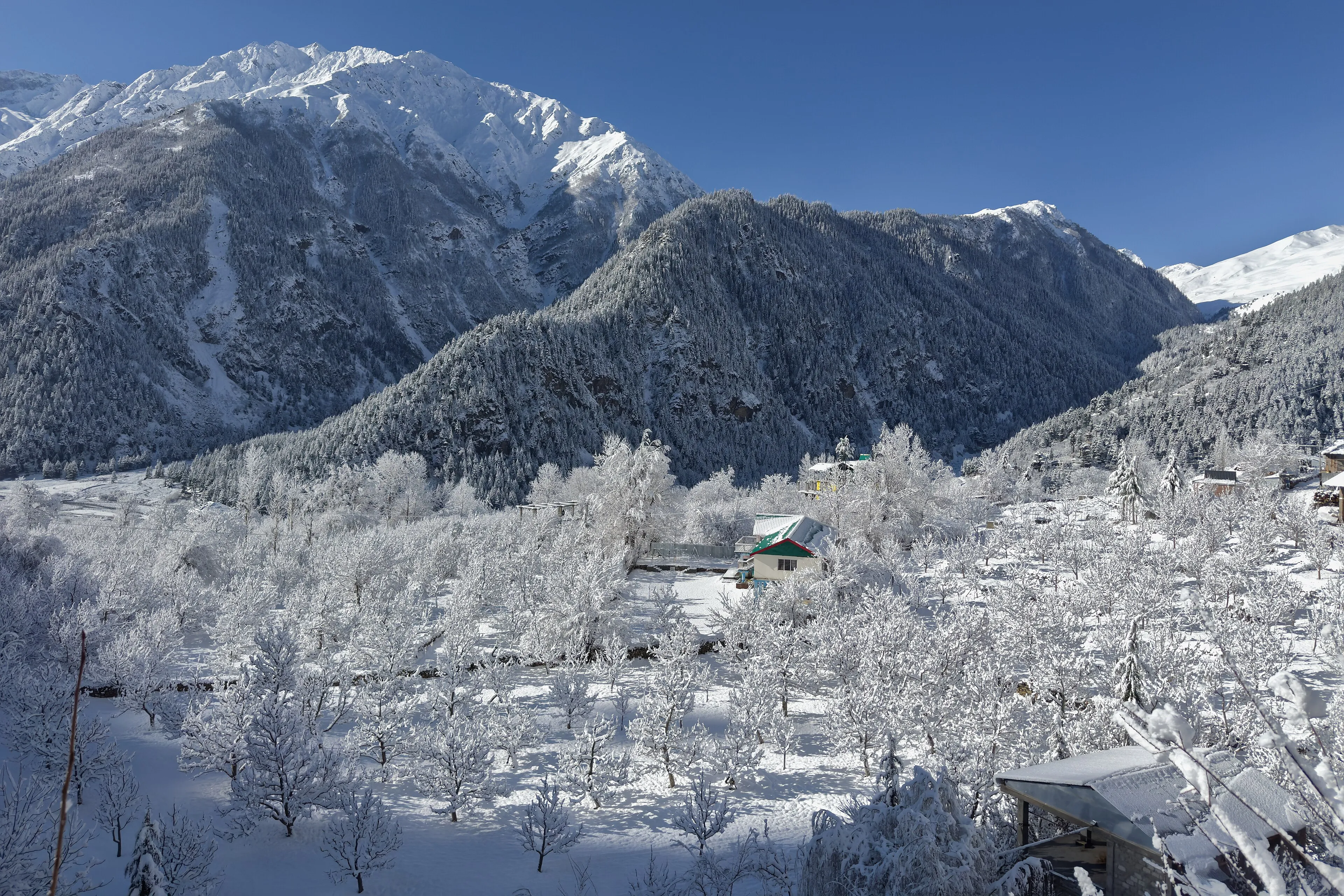Himachal Pradesh valley viewpoint at golden hour with layered blue ridges